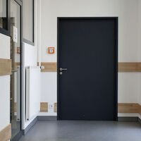 SECURITY DOOR "DW 42" (WK 2)
